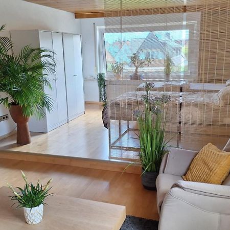 רוסלסהיים Haus Gartenblick מראה חיצוני תמונה