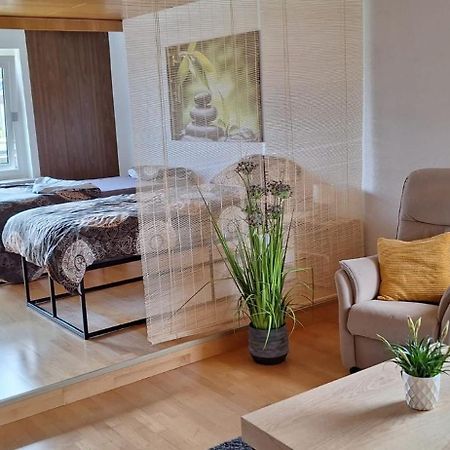 רוסלסהיים Haus Gartenblick מראה חיצוני תמונה